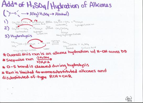 Addition of Sulfuric Acids and Hydration of Alkenes