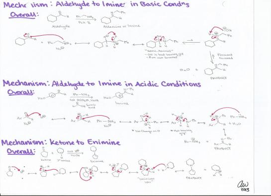 Aldehyde to Imine in Basic Conditions and Acidic Conditions, Ketone to Eminine