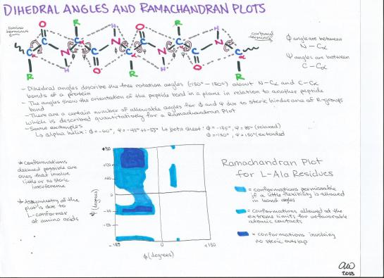 Dihedral Angles and Ramachandran Plots