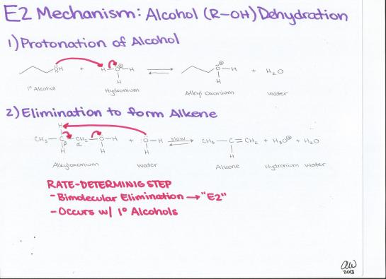 E2 Mechanism Alcohol Dehydration