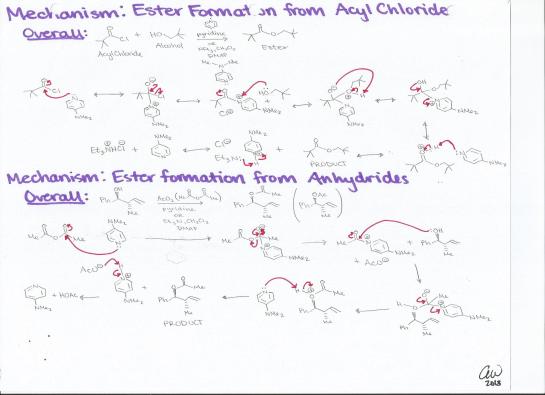 Ester Formation from Acyl Chloride and Anhyrides