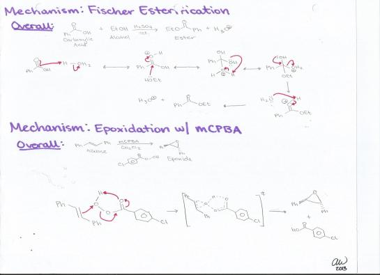 Fischer Esterification and Epoxidation with M-Chloroperoxybenzoic Acid