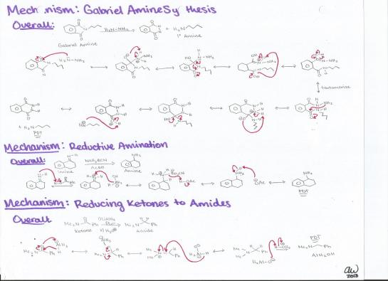 Gabriel Amine Synthesis, Reductive Amination, and Reducing Ketones to Amides