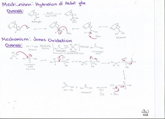 Hydration of Aldehyde and Jones Oxidation