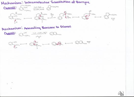 Intramolecular Substitution of Benzyne and Annealing Benzene to Dienes