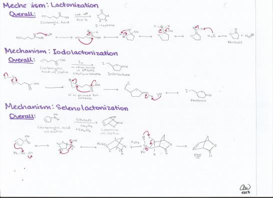 Lactonization, Iodolactonization, and Selenolactonization