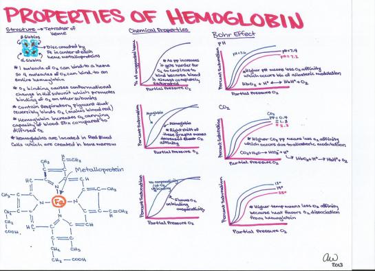 Properties of Hemoglobin