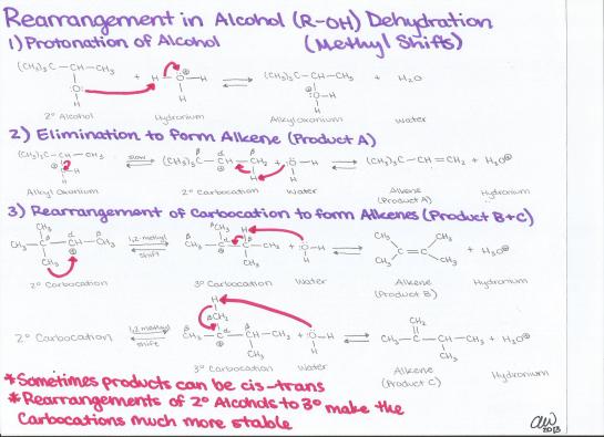 Rearrangement of Alcohol Dehydration Methyl Shifts