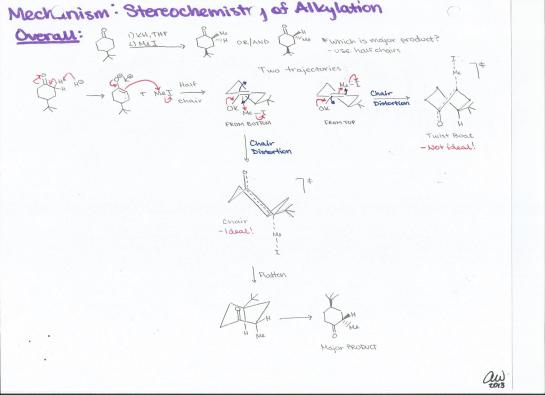 Sterochemistry of Alkylation