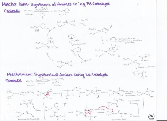 Synthesis of Amines Using Paladium Catalyst or Lanthanum Catalyst